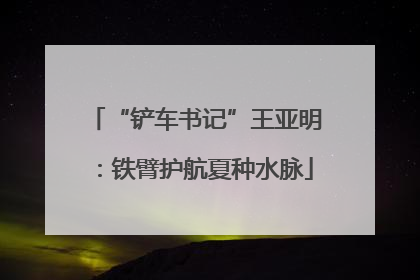“铲车书记”王亚明：铁臂护航夏种水脉